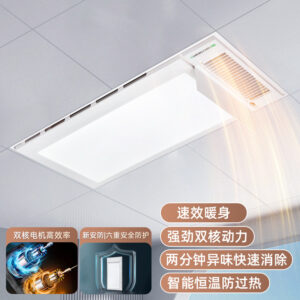 Dual-Motor Wind-Heating Bathroom Heater с потолочный Exhaust и светильник