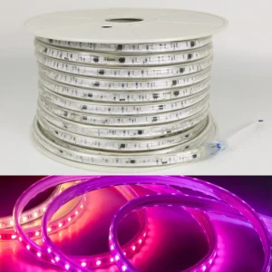 220V 5050 Driverless LED Strip 100m Roll IP65 водонепроницаемый Rgbic Strip светильники RGB Dream цвет освещение