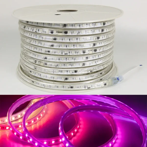 220V 5050 Driverless LED Strip 100m Roll IP65 водонепроницаемый Rgbic Strip светильники RGB Dream цвет освещение