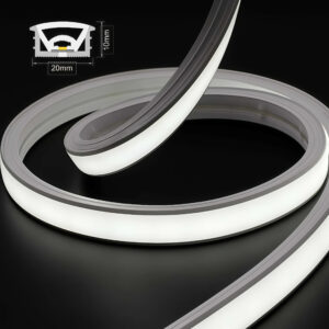 Shenzhen 12V 24V Silicone Neon Rope Waterproof IP67 100M/Roll LED Neon Strip Light 3000K 4000K 6500K LED Light Strips