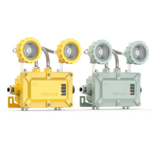 ATEX Certificate 220v Changzhou Supplier Led Anti Explosion светильник Tri-proof перезаряжаемый Emergency Led лампа