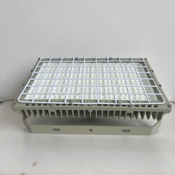 High Quality Led Explosion Proof освещение 100W Explosion Proof лампы