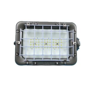 ATEX IP66 50W 60W 70W 80W Zone 1 Zone 2 AC220V Customizable LED Explosion Proof прожектор для Oil Gas Marine с Cage