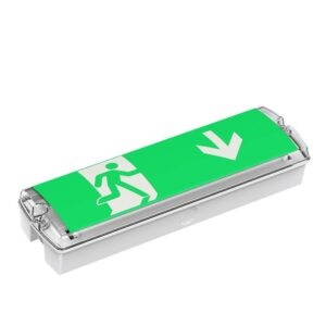 Best-selling CE, UKCA, IP65 водонепроницаемый Emergency светильники in Europe