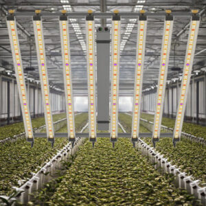 4x4 800w Led полный спектр растение