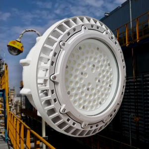WF2 IP66 Customizable LED Explosion Proof Area Work High Bay Low Light 30W-300W 5-Year Warranty for Marine and Offshore