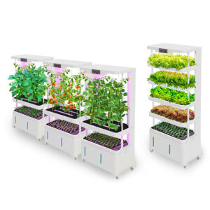 New Agricultural Greenhouse интерьерный Garden Tomato & Lettuce Hydroponic Growing System с Pump Easy to Operate 1 Year Warranty