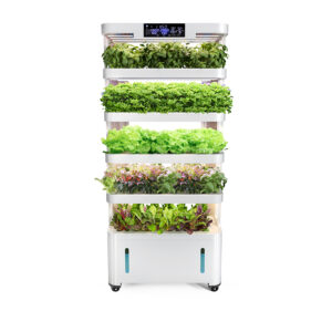 Hot Selling 60W 34L Five Layers Full-Spectrum LED фитолампа модульный гидропоника System Pump Easy Operate для гостиная