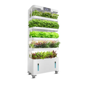 Cheap Pice Five Layers 60W 34L Nutrient Solution Tank Led фитолампа модульный гидропоника Growing System