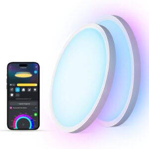 Colors Ceiling Lights Bedroom Living Room Smart RGBIC LED Ceiling Light Fixture Ceiling Lamp Flush Mount Light Fixture