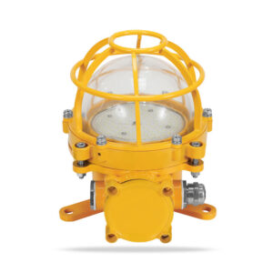 Explosion-proof светильник 60W-Incandescent светильник Source IP66 316L