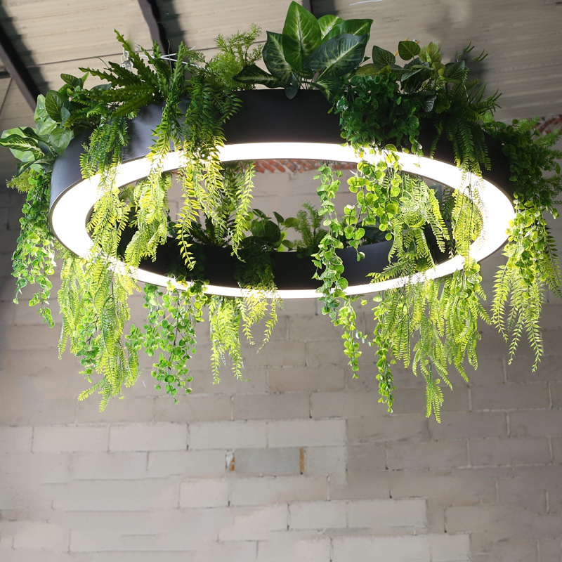 Circular LED чёрный Planter подвесной светильник светильник для Lounges Offices Reception Areas Retail Shops Restaurants Showrooms