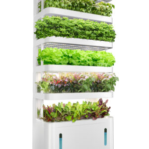 Hydroponic Greenhouse светильник Equipment умный Pump Home Growing Systems Easy to Operate 1 Year Warranty
