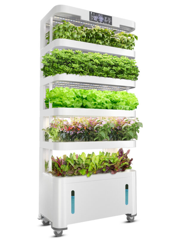 Hydroponic Greenhouse Light Equipment Smart Pump Home Growing Systems Easy to Operate 1 Year Warranty