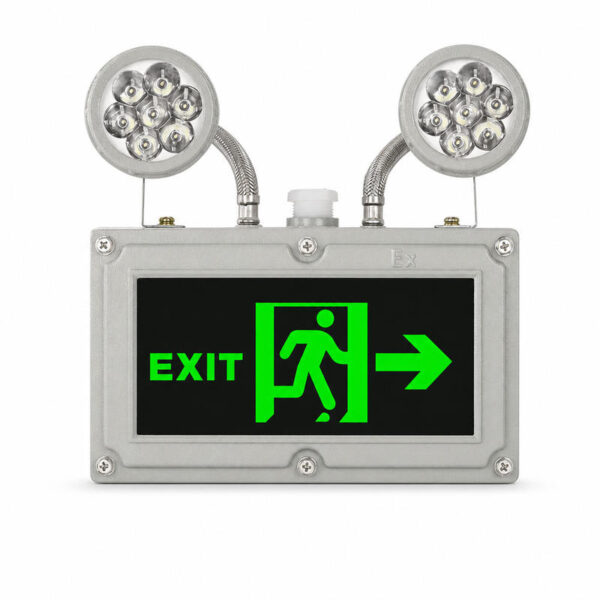 Explosion Proof ATEX IP65 LED Fire Emergency светильник для Hazardous Area промышленный Fire Safety Evacuation Power Failure