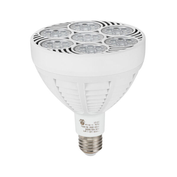 US Standard LED Bulb 60W PAR38